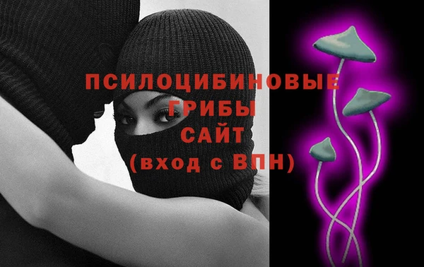 эйфоретик Алексин