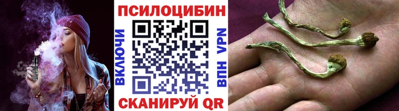 Купить где  Таштагол  Псилоцибиновые грибы Magic Shrooms 